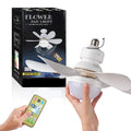 Ceiling Fan with Light